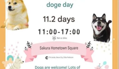 International DOGE DAY 2025 — enjoy games, cosplay, food trucks, and all things doge!
