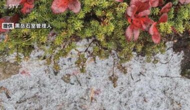 The first snowfall this year has been observed on Mount Kurodake in the Daisetsu Mountains range