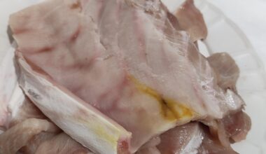 Yellow stain on Hamachi