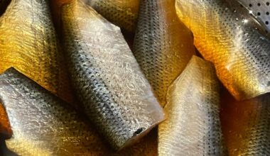 Something about kohada just FEELS right