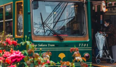 Little Trams - Minowabasi, Tokyo