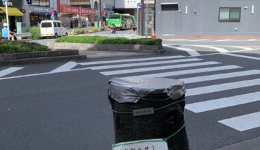 Sakura tree got cut down in Nippori