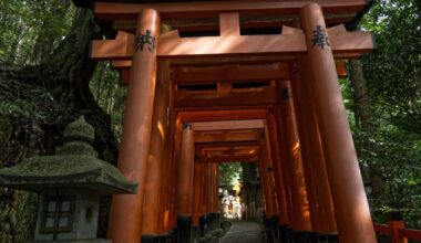 Beauty of Japan Through My Lens