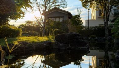 Hita City - Oita | Golden Hour [OC]