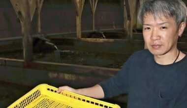 Water from Deep Underground Supports Flounder Farming in Aomori; Climate Change Pushes Prefecture’s Marine Industry to Switch from Fishing to Aquaculture