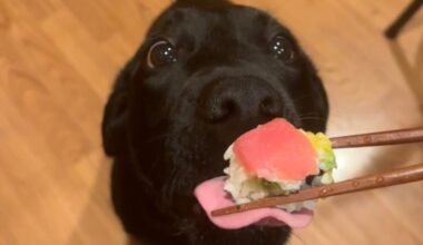 Just got the test results back from the Lab. They are positive.