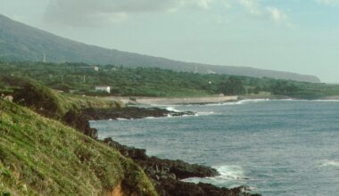The wild wind-swept seashore of Ōshima, Tokyo