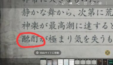 What are these two kanji? I have tried to find them on dictionaries and they don't show up. I provided the text in which they appear in, as well as the synopsis/lore of the game for context.