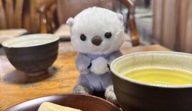 I really love this kind of Japanese dessert with green tea, enjoyed in a little traditional style house.