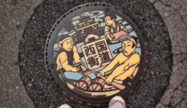 Manhole coverart