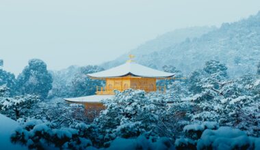 Kinkaku-Ji in Snow (Check Description)