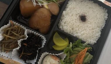 Lunch bento: yay or nay?