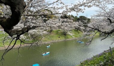 Tokyo • Spring 2025 • 🗼🇯🇵🌸