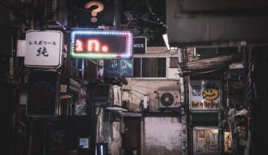 Kabukicho & Golden Gai Alleyways