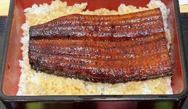 "99% of eel products are endangered": Chuo University analyzes global distribution amount