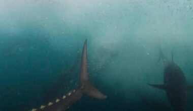 Sushi lovers pay attention.