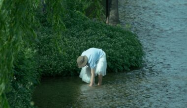 Summer memories [Kyoto]