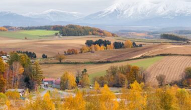 Shikisai-no-oka Biei, Hokkaido Autumn Vibe