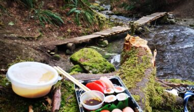 Anyone ever eat sushi in the wild?