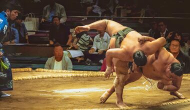 Sumo match in Tokyo (2019)