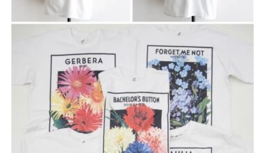 Looking for any type of “Niche Seed Co. ニッチ” T-shirts in Kyoto, Japan 👕👍🏻