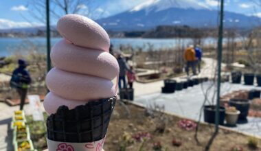 Strawberry ice cream + Mount Fuji.