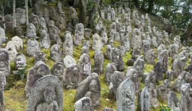 Beautiful Kyoto !