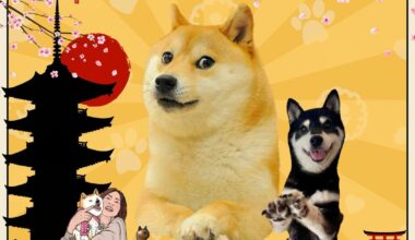 Doge Day 2025 is coming