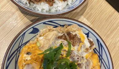 Katsudon and Gyudon