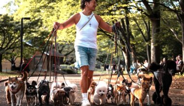 Miscellaneous magic moments from the past two weeks 📷