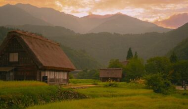 Summer in Gifu!
