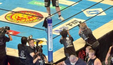 Possible Wrestle Kingdom match