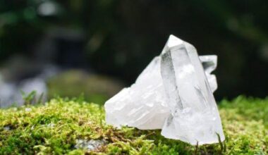 Astrologer arrested for running fake investment scheme worth approx. 2 billion yen