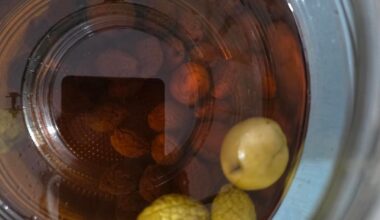 Ume shrivelled up in homemade umeshu