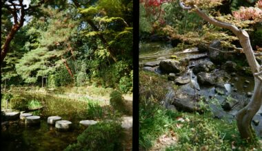 Heian Shrine gardens on Kodak Ektar H35 Half Frame Film