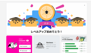 Reached Wanikani Level 60 after 7 years