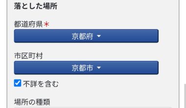 Lost Backpack on Bus