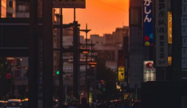 Summers End - Ryogoku, Tokyo