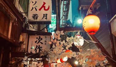 Dreamy Omoide Yokocho (Memory Lane) in Tokyo