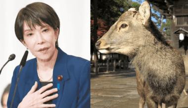 Sanae Takaichi: "Foreigners Assaulting Deer in Nara Park" – Why This Sudden Claim?              Nara Prefecture Says "No Reports Either"...
