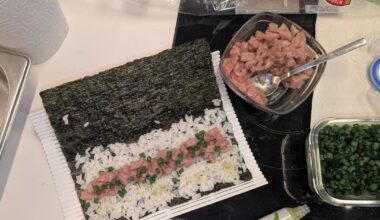 Rate my maki (homemade - beginner)