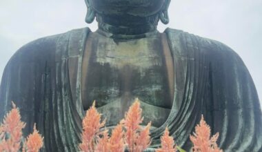 Japan - October 2025