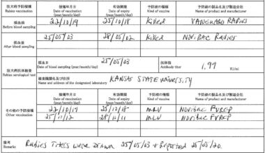 Help understanding the process of moving a cat to Japan (kinda urgent)