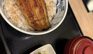 Unadon in Ginza, Tokyo