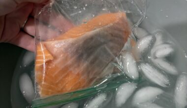 is this salmon ok to eat?