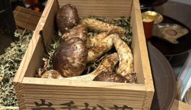Matsutake Mushroom Kaiseki.