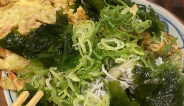 Udon with infinite toppings