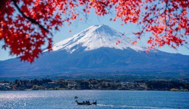 Autumn at Mount Fuji