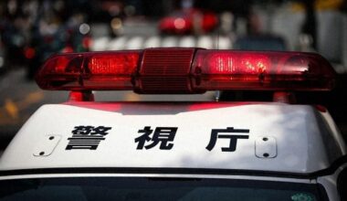 Son allegedly kills 100-year-old mother amid caregiver fatigue in Tokyo