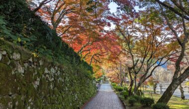 Came across a rainbow canopy in Shiga